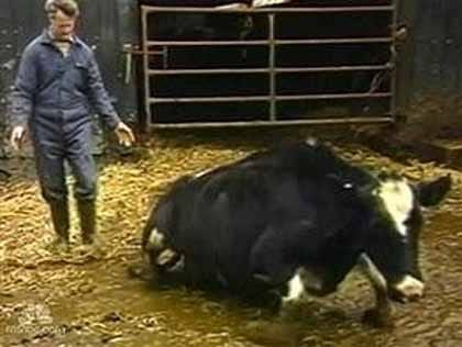 Export from English zoos to African countries and the Persian Gulf area